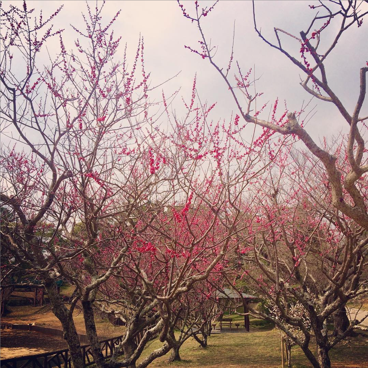 スクリーンショット 2019-04-09 14.09.49.png