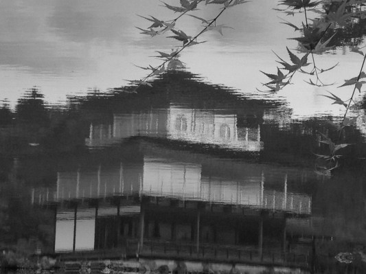 33755648770_e4aafea3bb_o-5