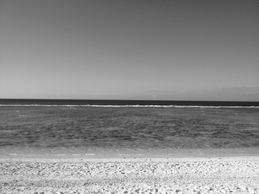 33914926782_04d92d608b_o